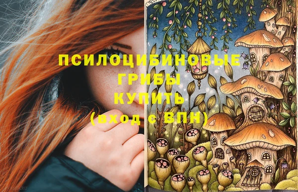спайс Алзамай