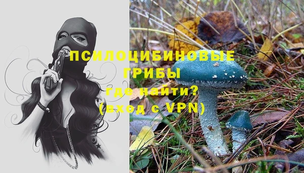 гидропоника Алексеевка